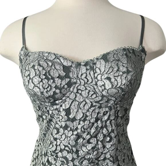 House Off CB KATJA Silver Metallic Lace Corset Dress Size Large Plus Cup - Picture 14 of 15
